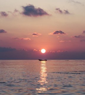 متشکرم یا خیر الوارثین