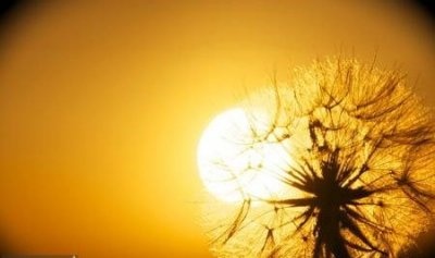 متشکرم یا من له القدرۀ و الکمالُ