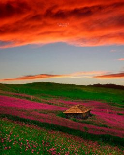 متشکرم یا دائما لا یفوت .ای هستی ابدی که نیستی ندارد