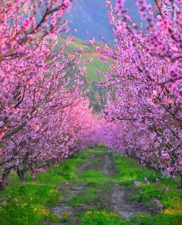 متشکرم یا وارث وحضور باقی ابدی