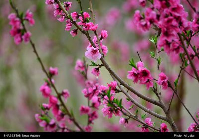 متشکرم یا اقدم من کل قدیم ای قدیمتر از هر قدیم