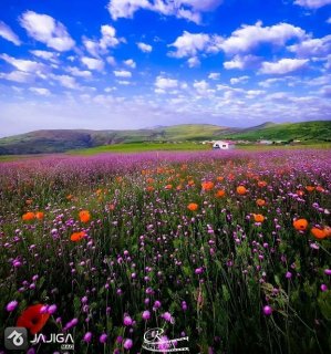متشکرم یا الطف من کل لطیف ای با لطف ترین لطیف