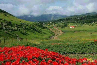 متشکرم .یا اجل من کل جلیل .ای با جلال تر از هر جلال