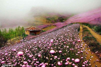 متشکرم یا اعزمن کل عزیز وای عزیزترین عزت بخش